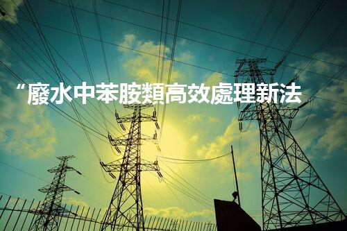 “廢水中苯胺類高效處理新法，環(huán)保先鋒引領(lǐng)綠色以后”
